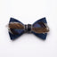 Midnight Bow Tie with Mixed Feathers