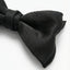 Lustrous Black Bow Tie