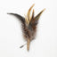 Golden Pheasant Lapel Pin with Layered Feathers