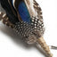 Midnight Wing Lapel Pin with Iridescent Plumage